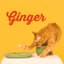 Ginger album art