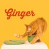Ginger album art
