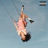 stupid song album art