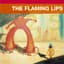 Yoshimi Battles the Pink Robots, Pt. 1 album art