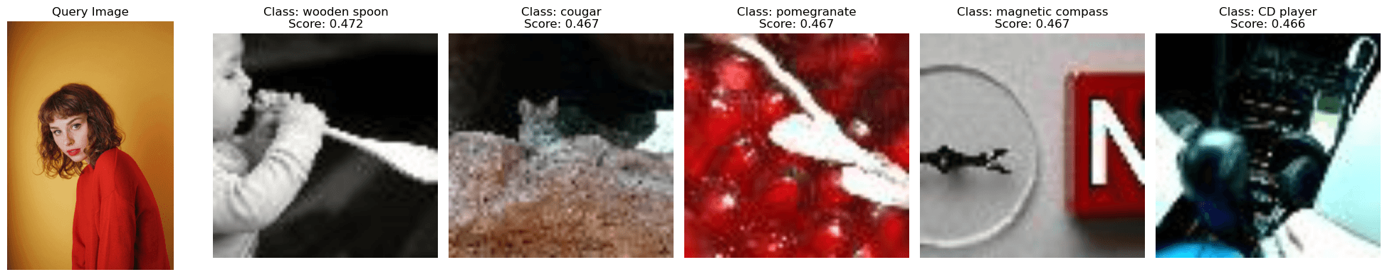 CLIP image-to-image search example 5